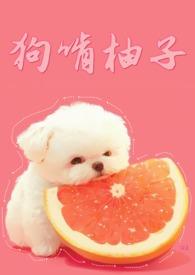 狗喜欢吃柚子