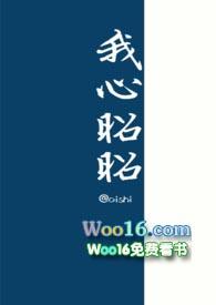 我心昭昭如明月下一句是什么