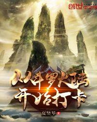 从斗罗开始打卡流星泪