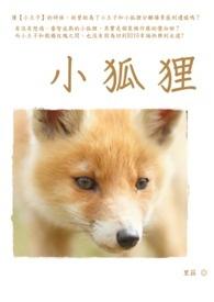 中国民间童话系列小狐狸 PDF